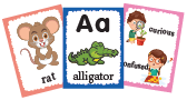 Flashcards